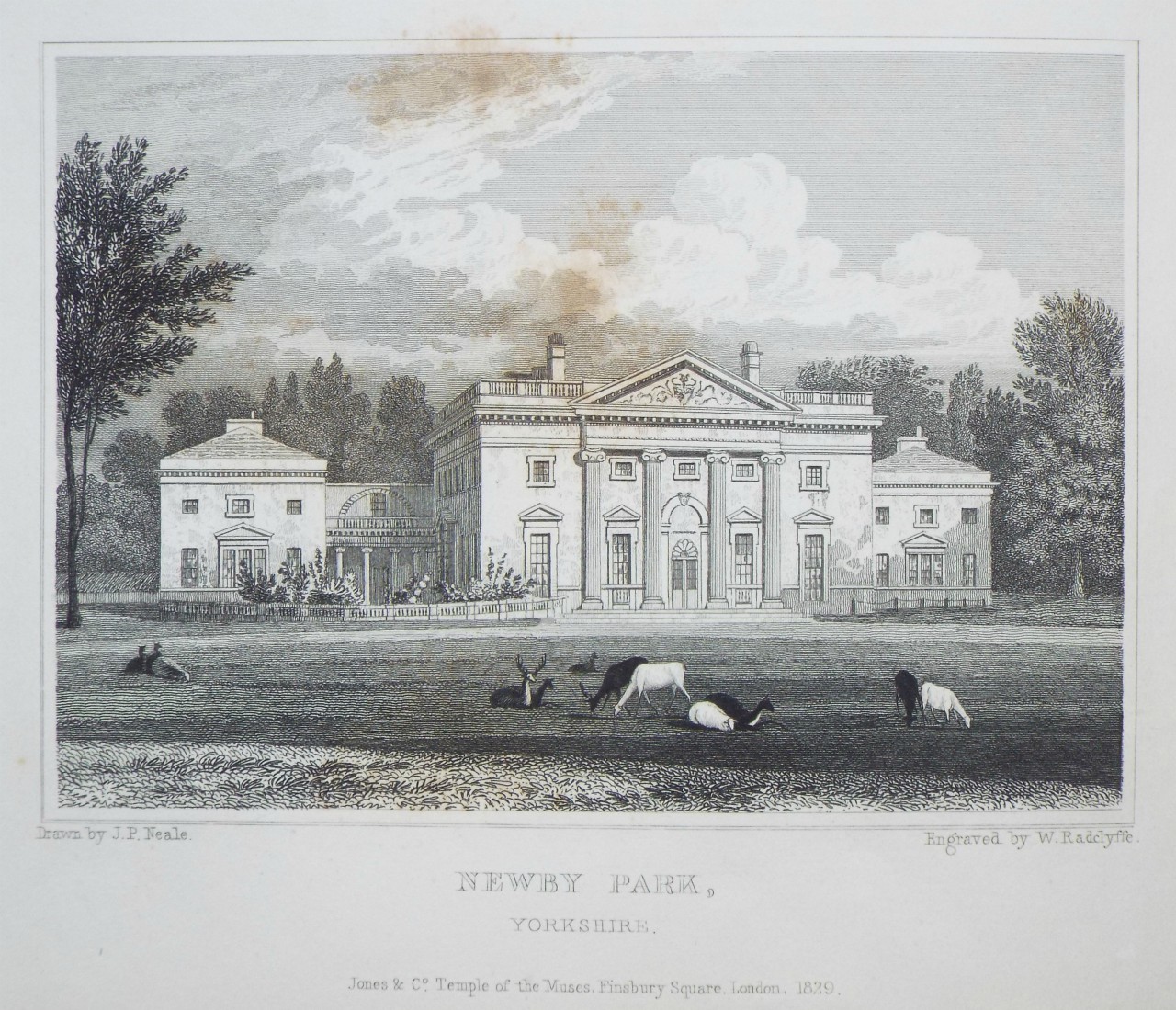 Print - Newby Park, Yorkshire. - Radclyffe