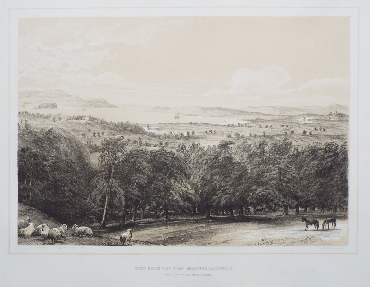 Lithograph - View from High Grounds Halswell. - Pocock