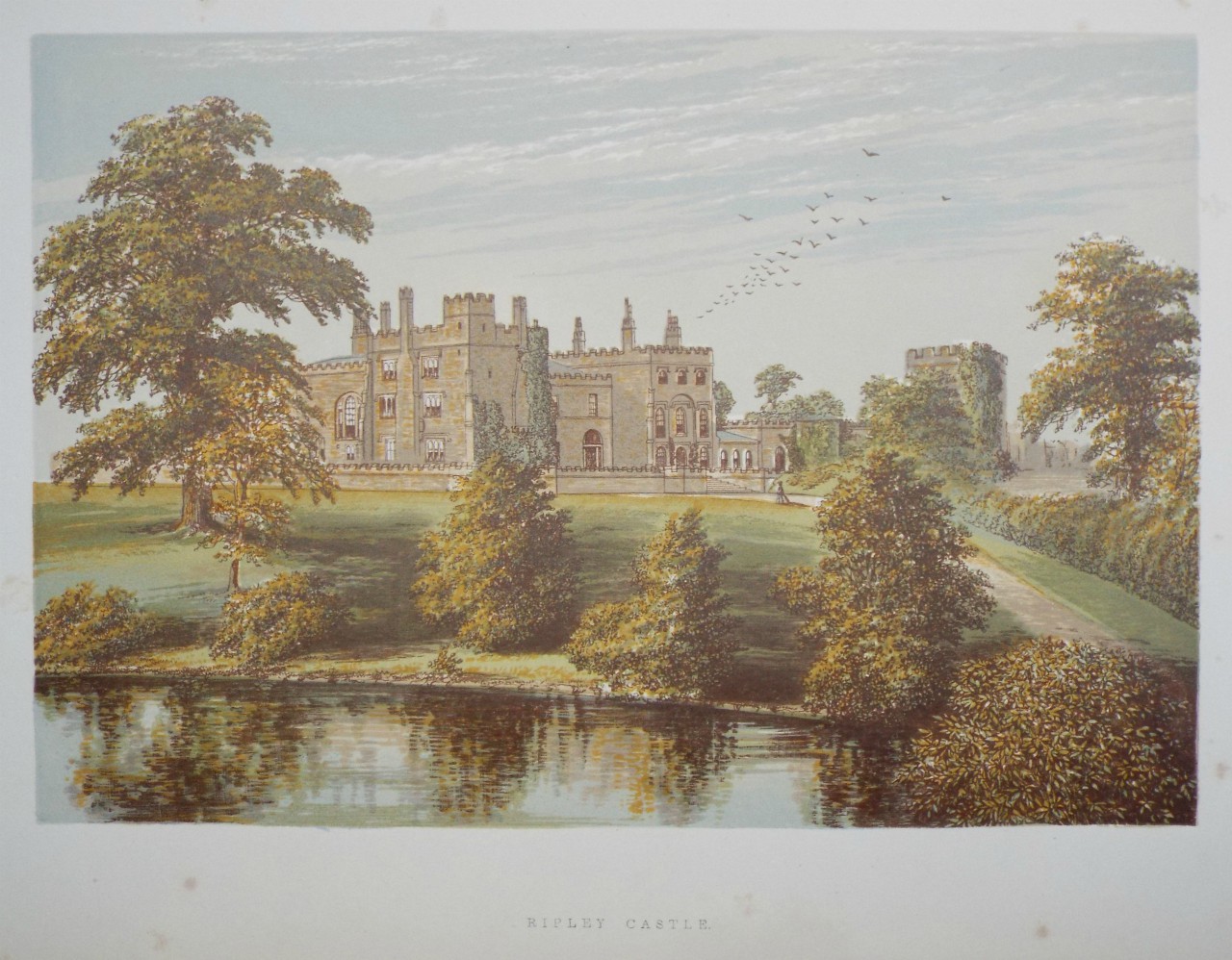 Chromo-lithograph - Ripley Castle.