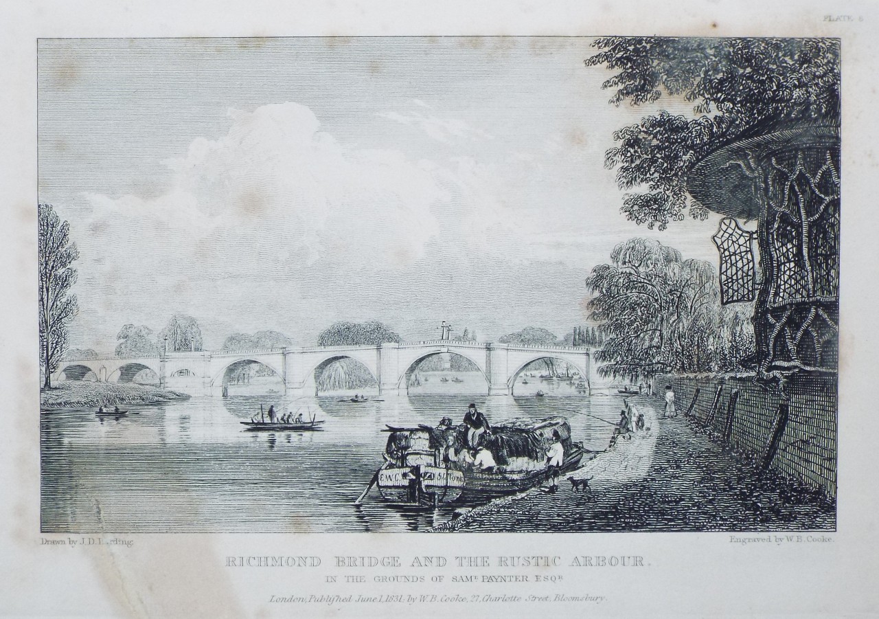 Print - Richmond Bridge and the Rustic Arbour. In the Grounds of Samuel Paynter Esqr. - Cooke