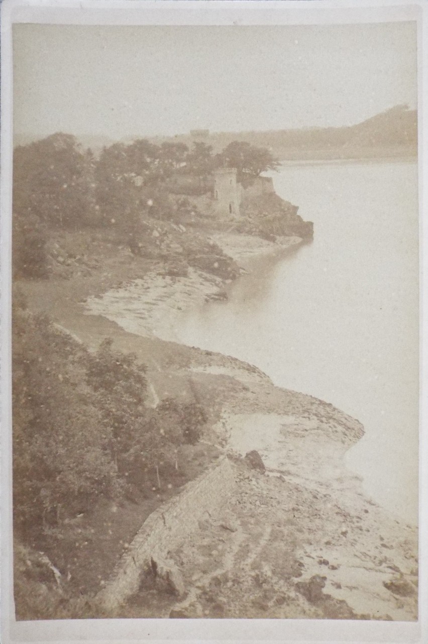 Photograph - Le Chene Vert