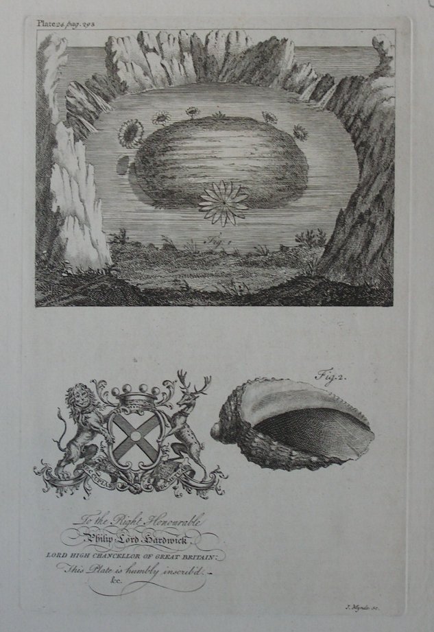 Print - (Rock Pool & shell) To the Right Honourable Philip Lord Hardwick Lord Chancellor of Great Britain - Mynde