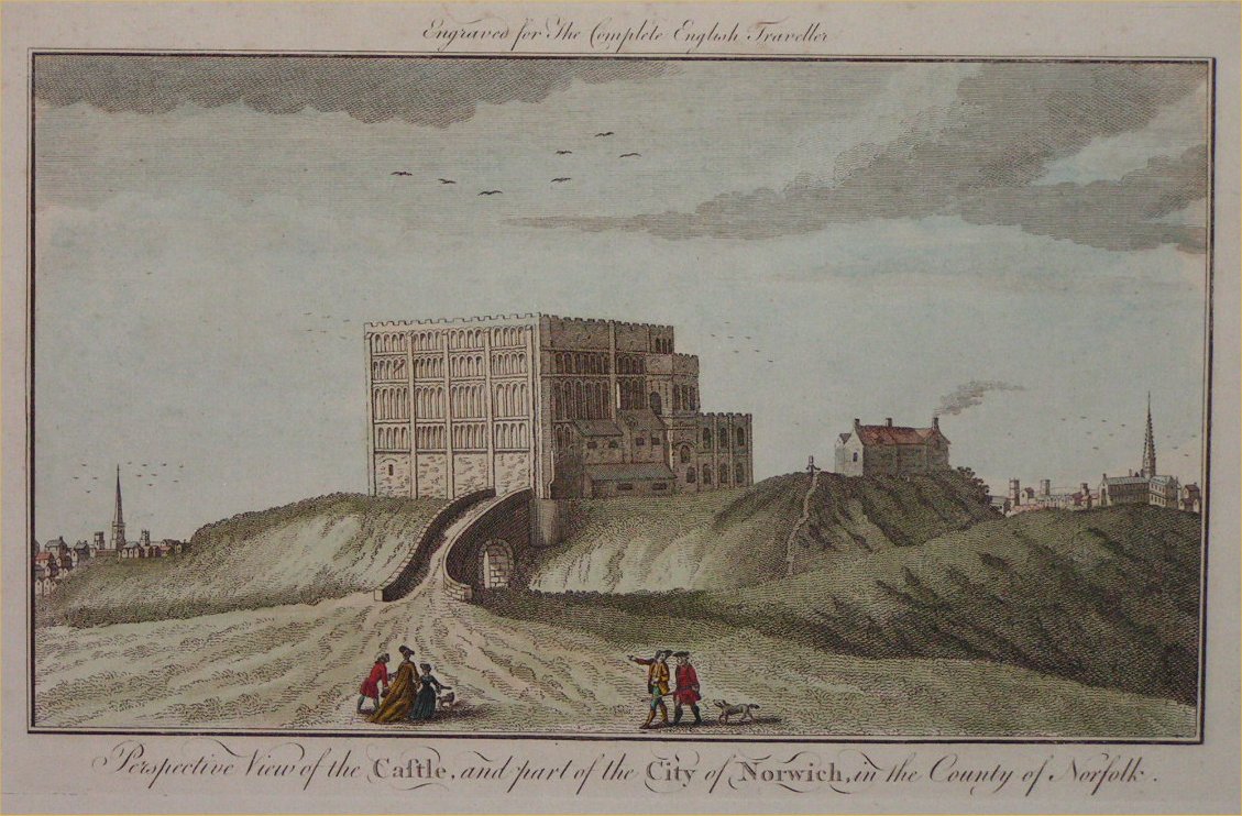 Print - Perspective View of the Castle and Part of the City of Norwich in the County of Norfolk
