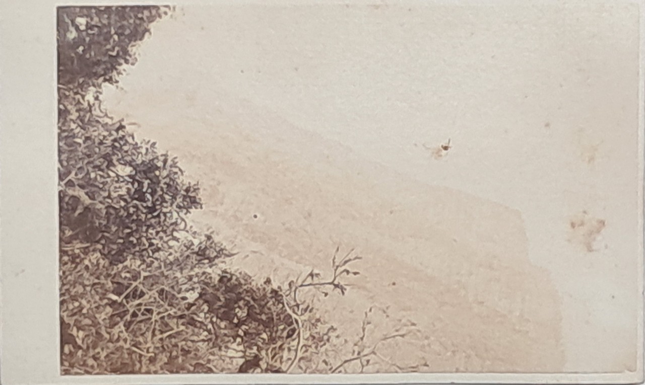 Photograph - Clovelly Court