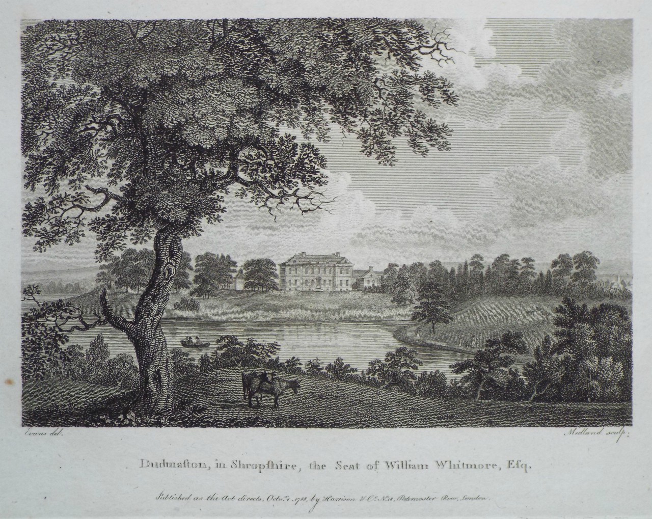 Print - Dudmaston, in Shropshire, the Seat of William Whitmore, Esqr. - 