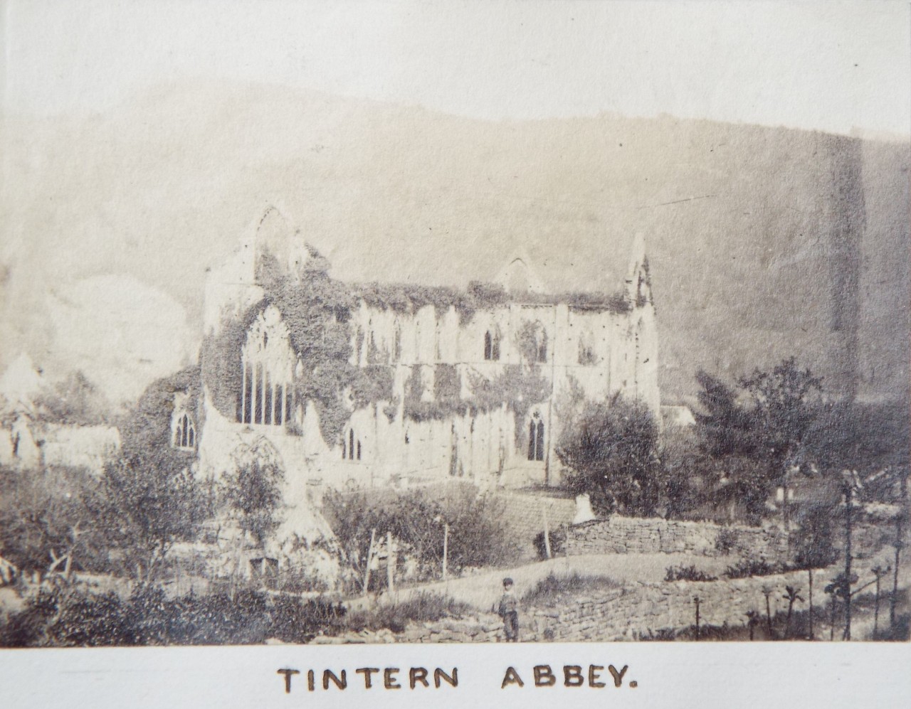 Photograph - Tintern Abbey