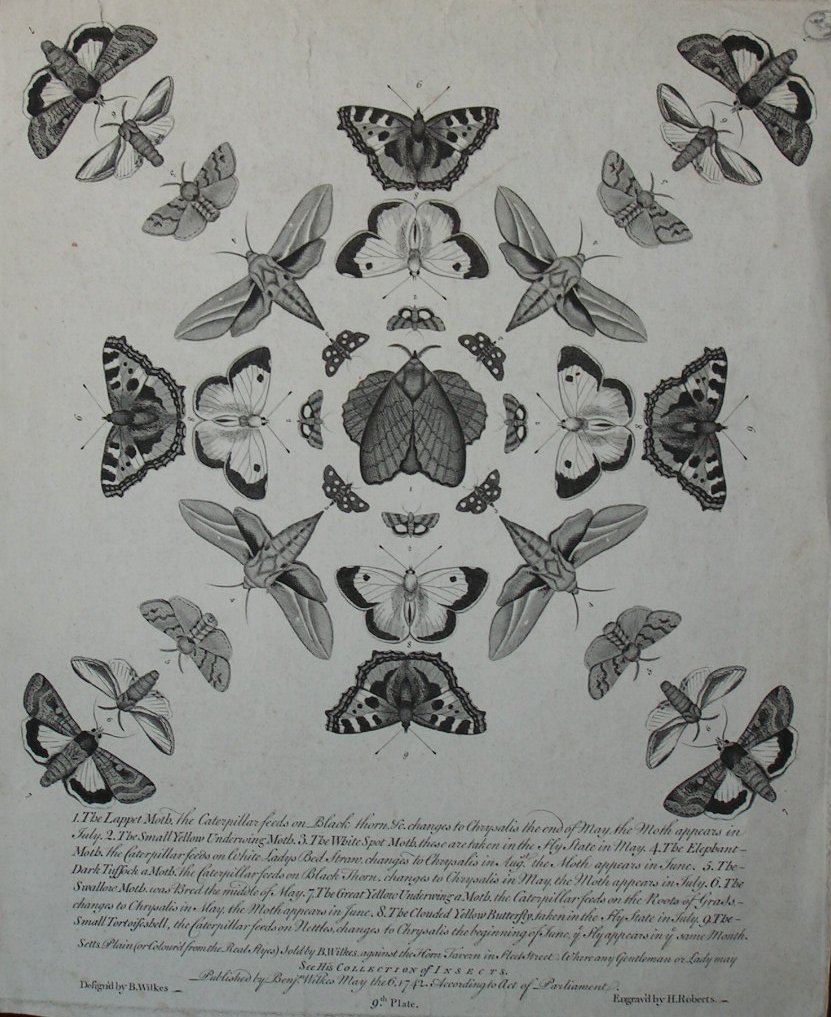 Print - The Lappet Moth etc etc - Roberts