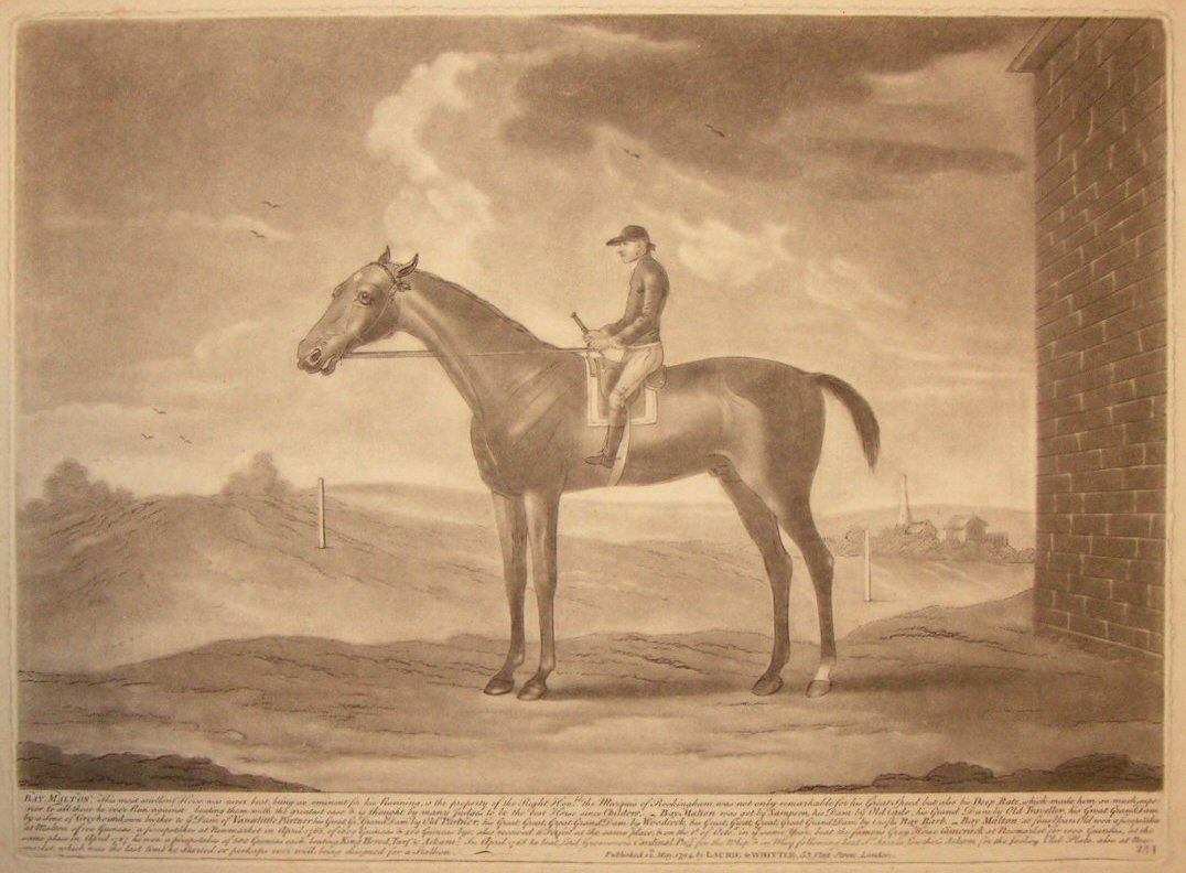 Mezzotint - Bay Malton &c