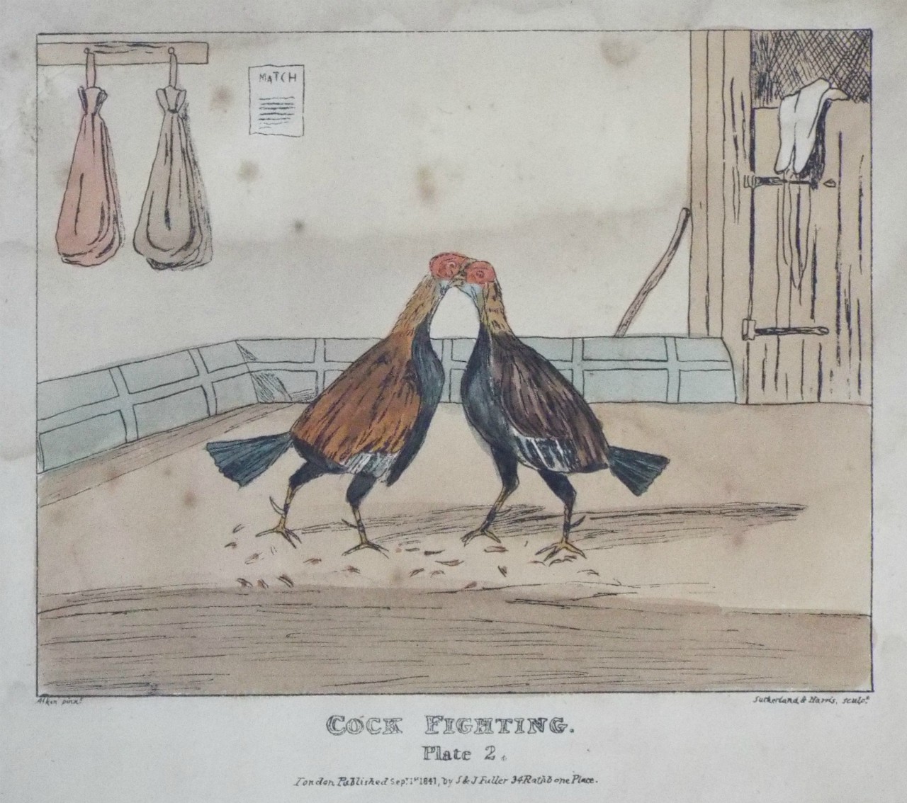Lithograph - 4 Cock Fighting Plate 2. - Sutherland