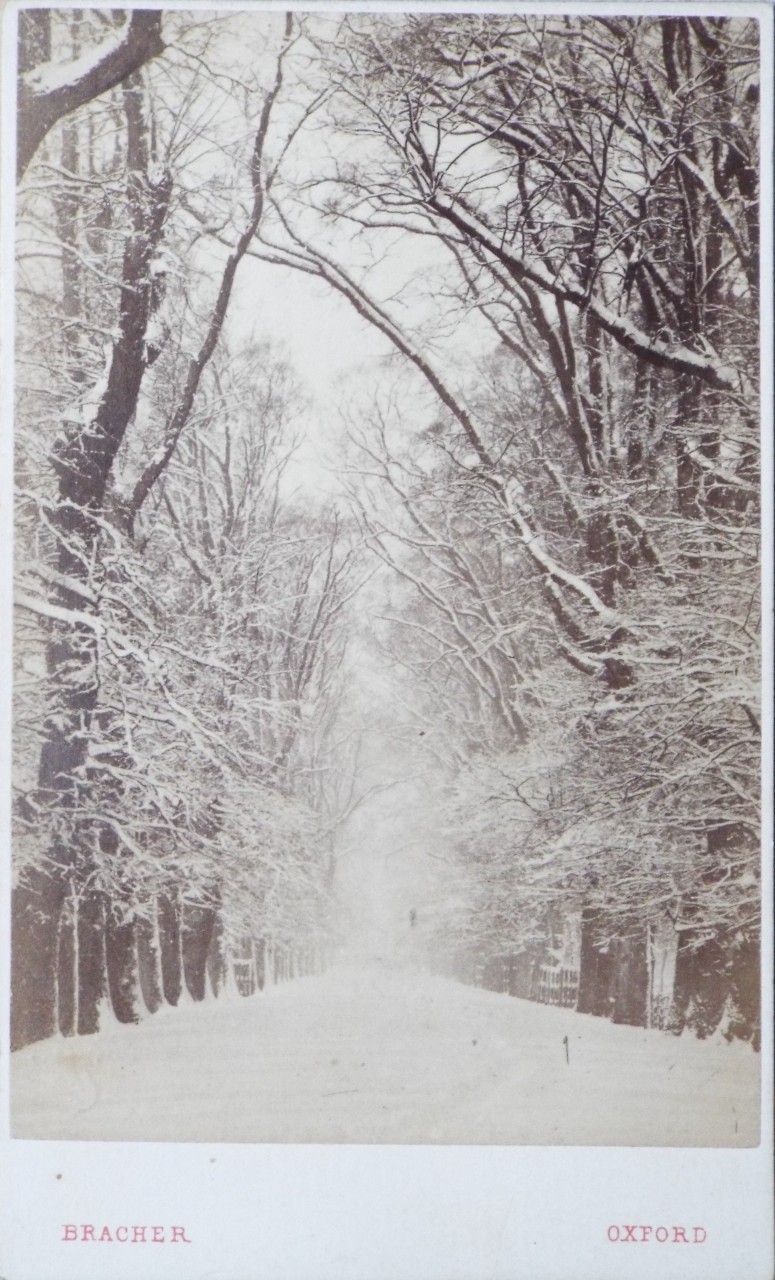 Photograph - Broad Walk, Oxford