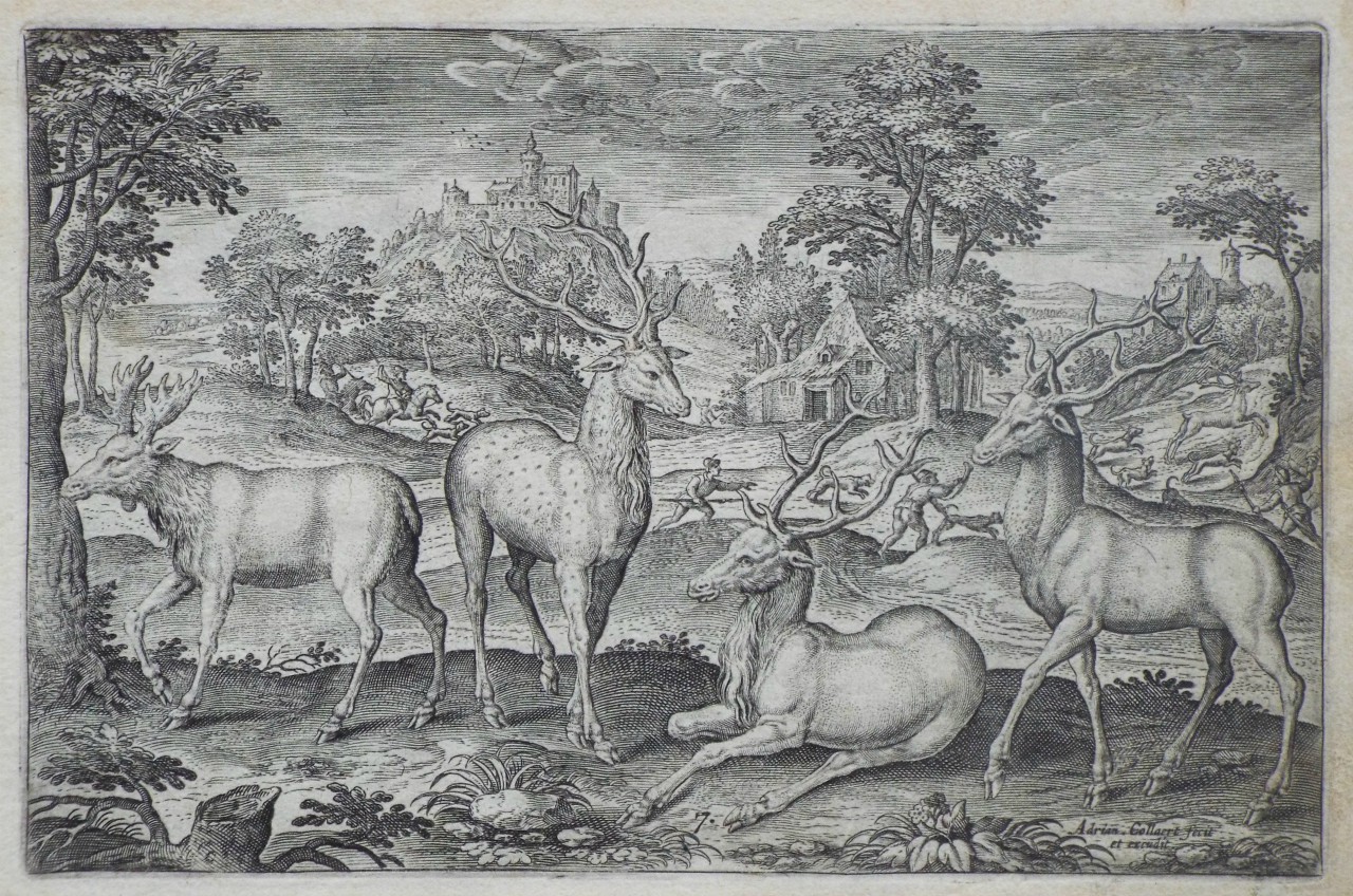 Print - Plate 7: Four stags - Collaert