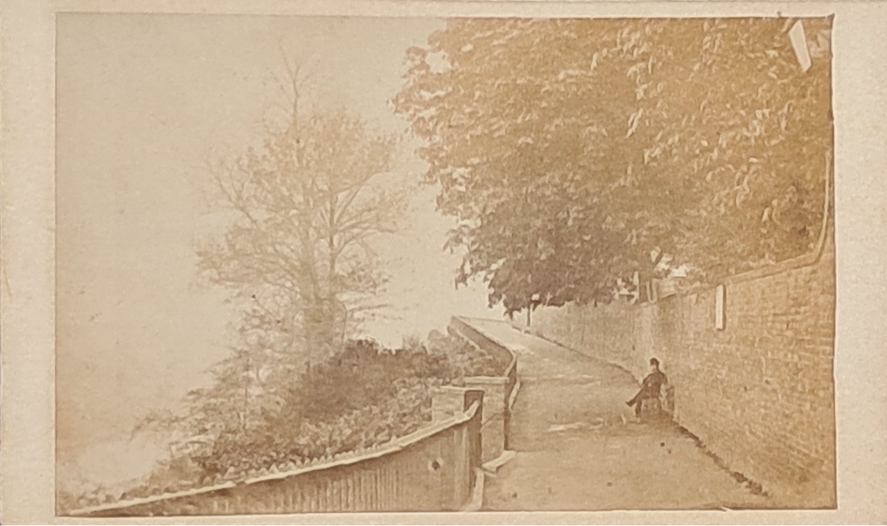 Photograph - Castle Walk, Bridgnorth
