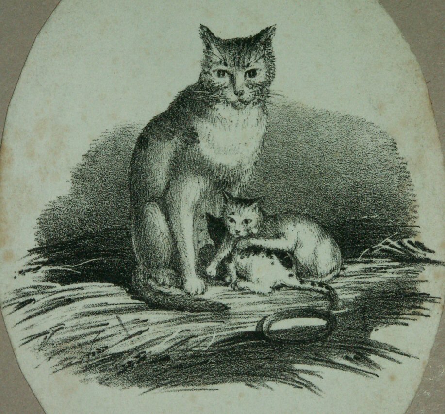 Lithograph - (Cat & kittens)