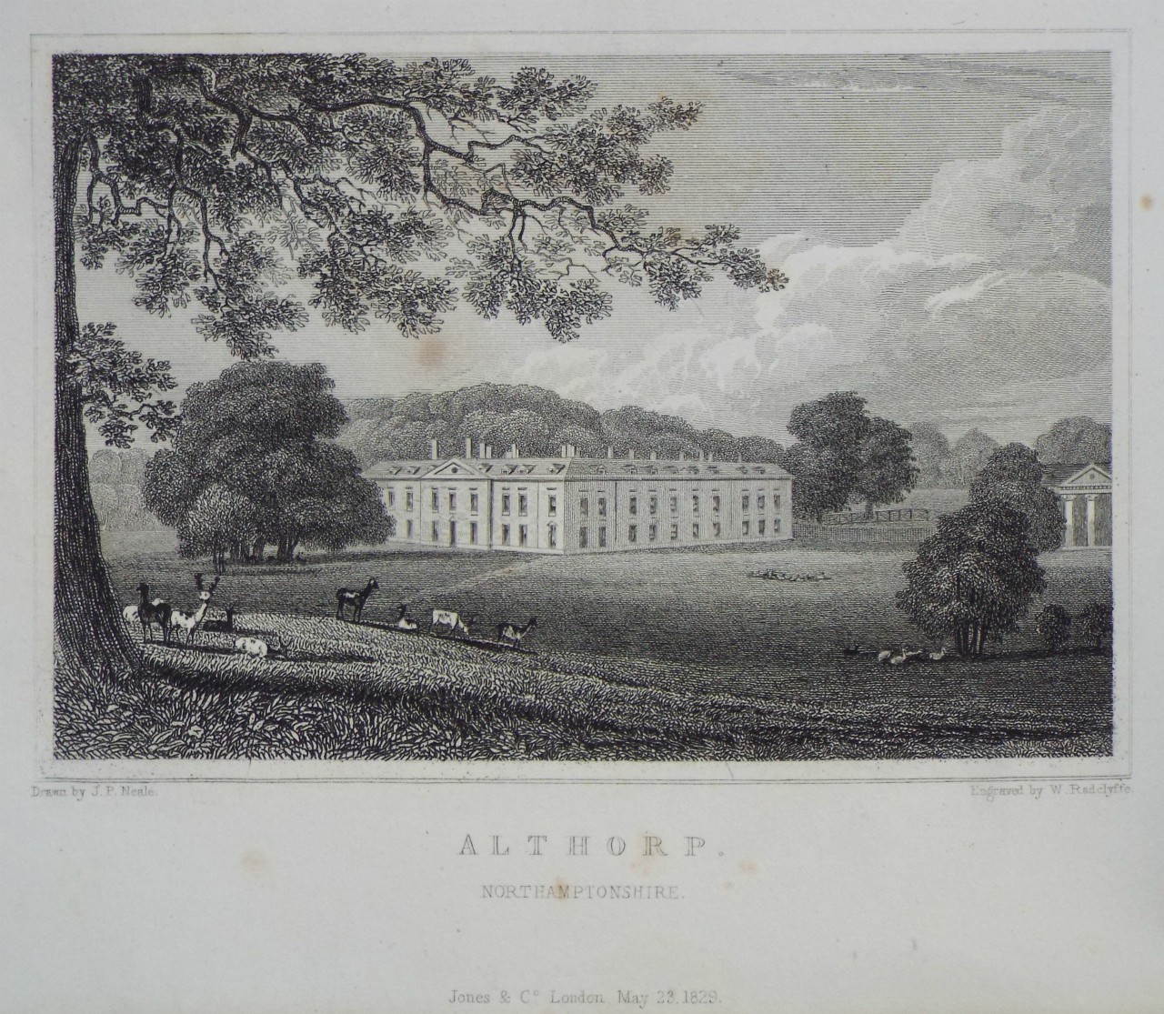 Print - Althorp, Northamptonshire. - Radclyffe