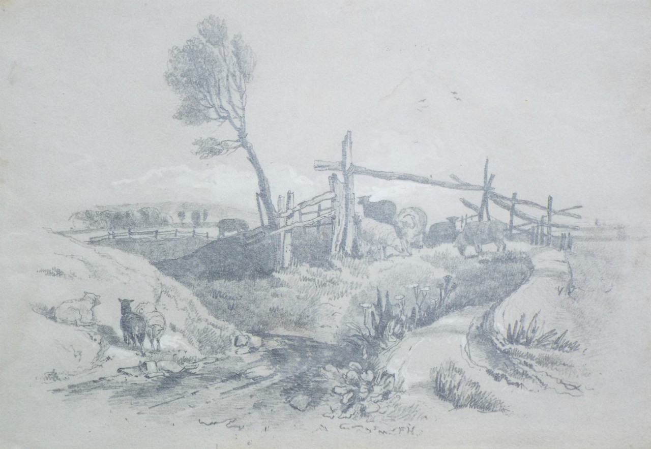 Pencil drawing - (Country scene with sheep)