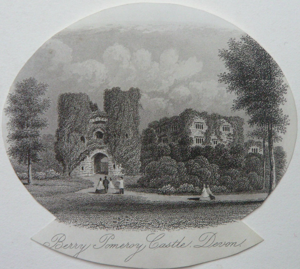 Steel Vignette - Berry Pomeroy Castle, Devon