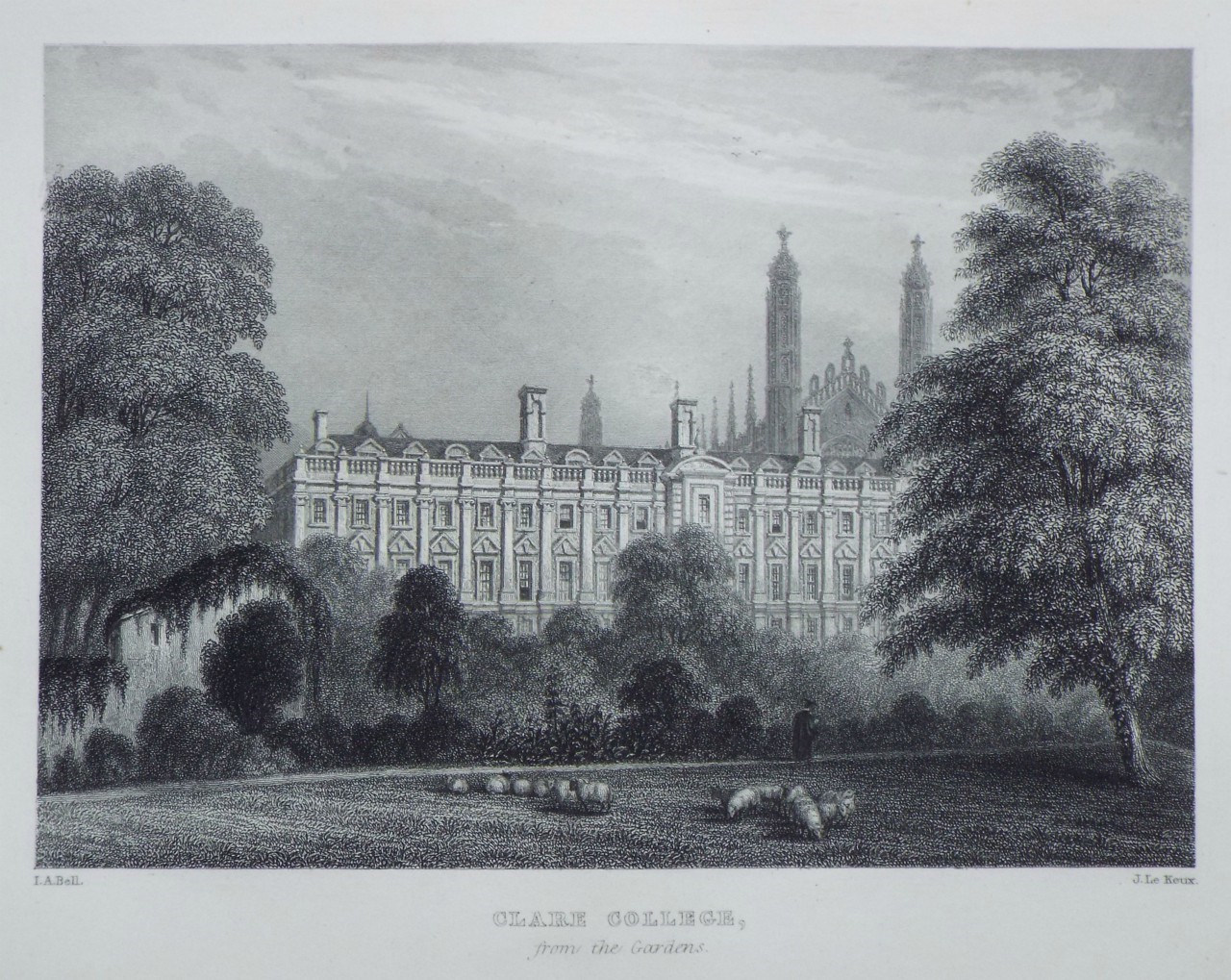 Print - Clare College, from the Gardens.