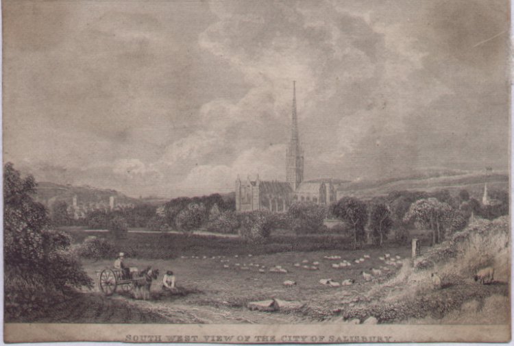 Print - South West View of the City of Salisbury