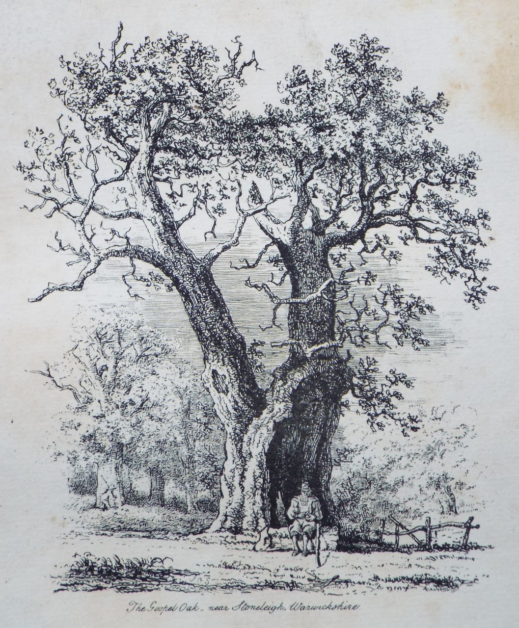 Etching - The Gospel Oak - near Stoneleigh, Warwickshire - Strutt