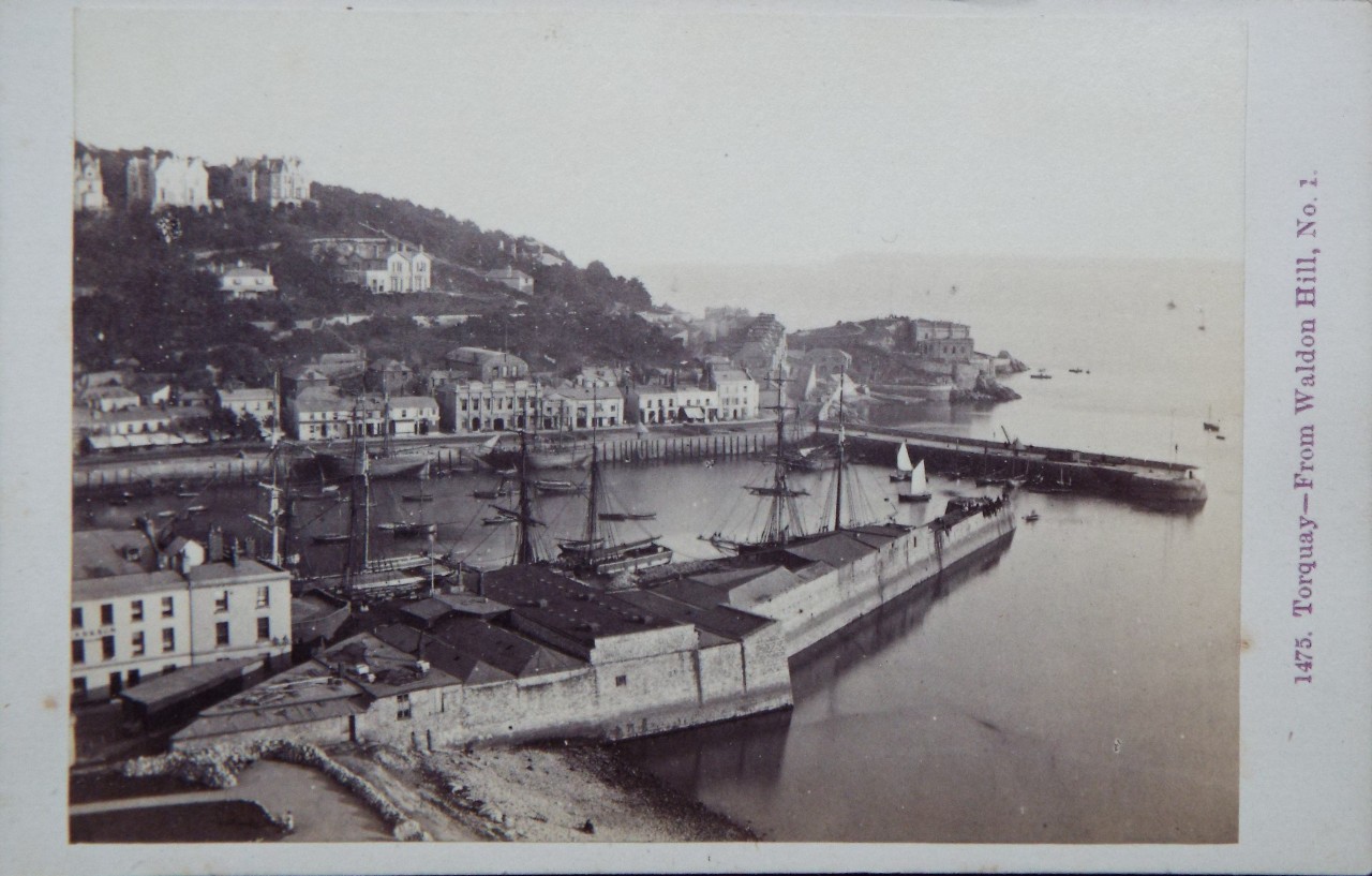 Photograph - Torquay - From Waldon Hill, No. 1.