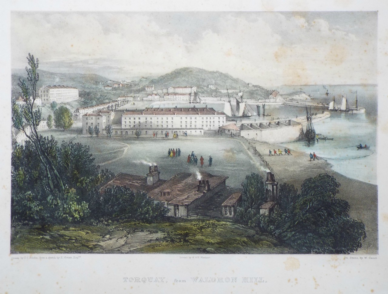 Lithograph - Torquay, from Waldron Hill. - Gauci