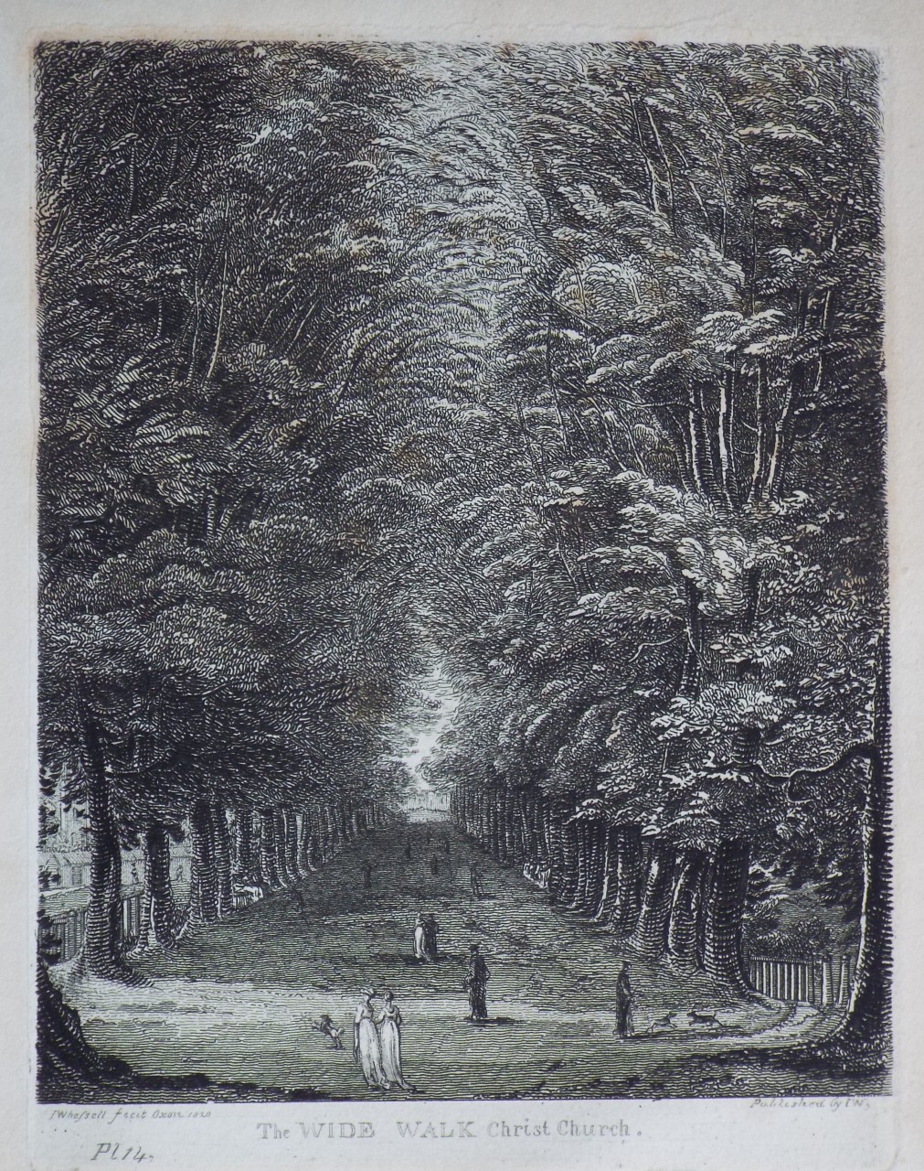 Print - The Wide Walk Christ Church. - Whessell