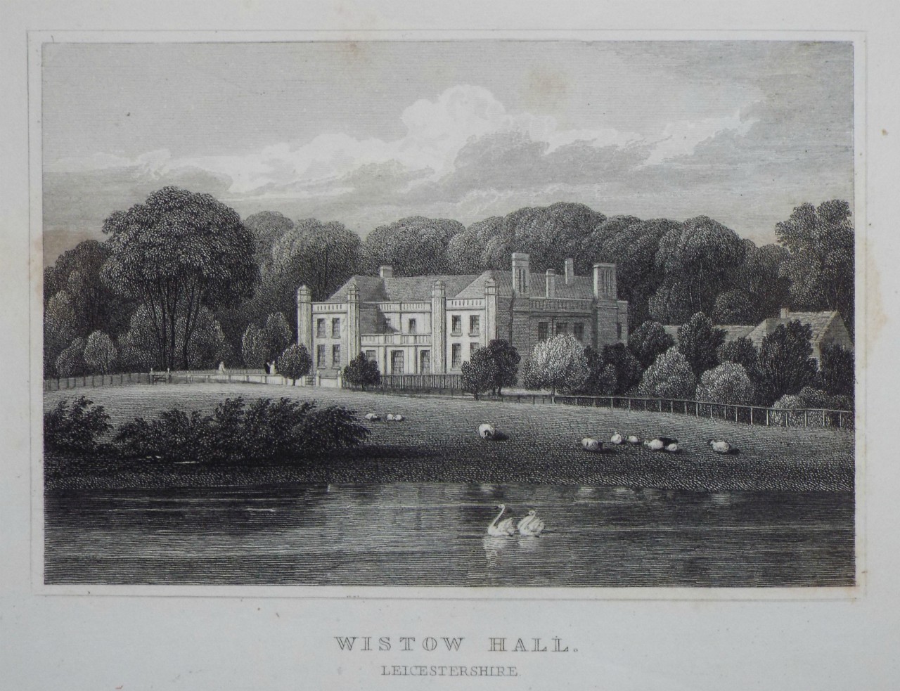 Print - Wistow Hall, Leicestershire. - Radclyffe