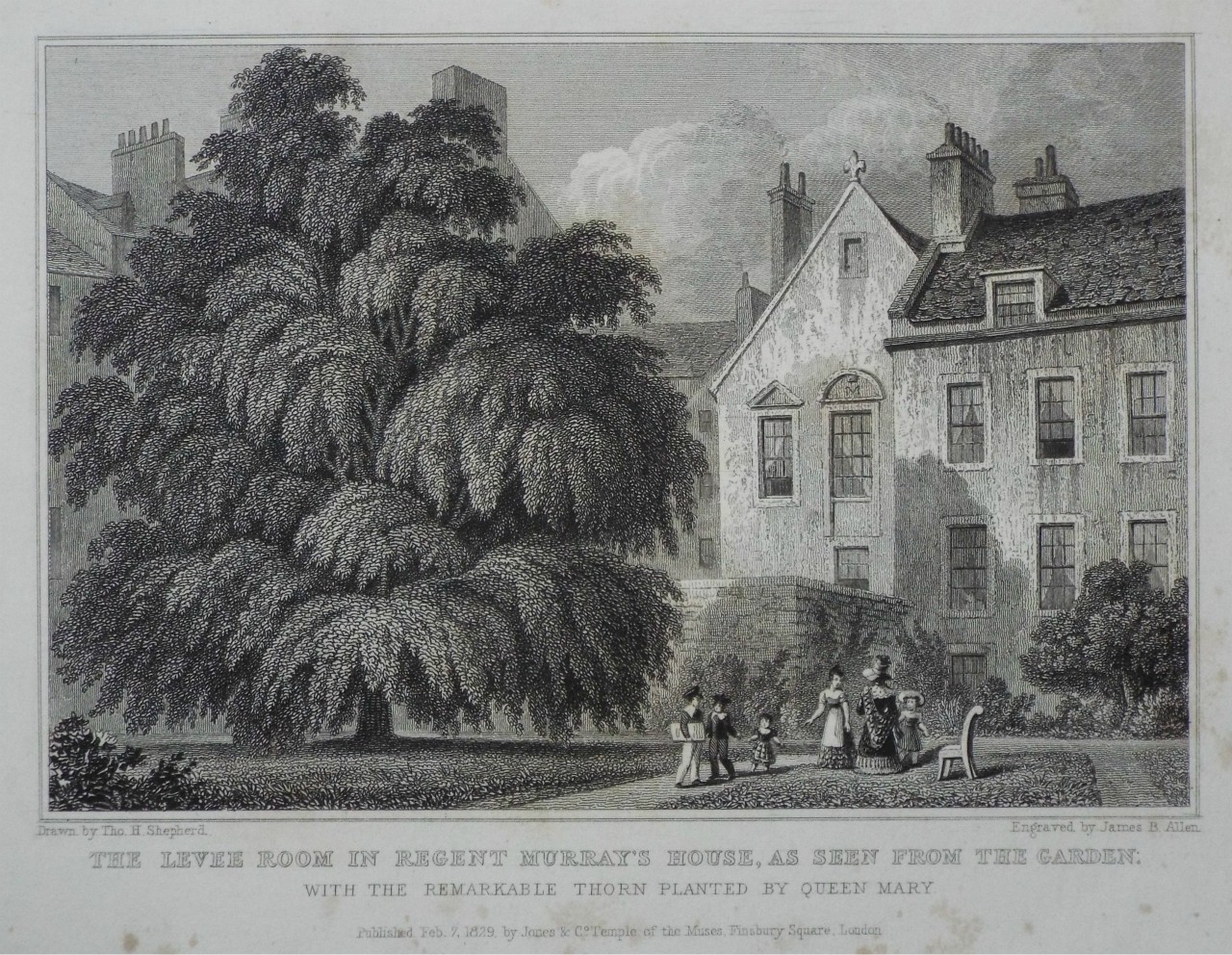 Print - The Levee Room in Regent Murray's House, as seen from the Garden. Wkith the remarkable Thorn planted by Queen Mary. - Allen