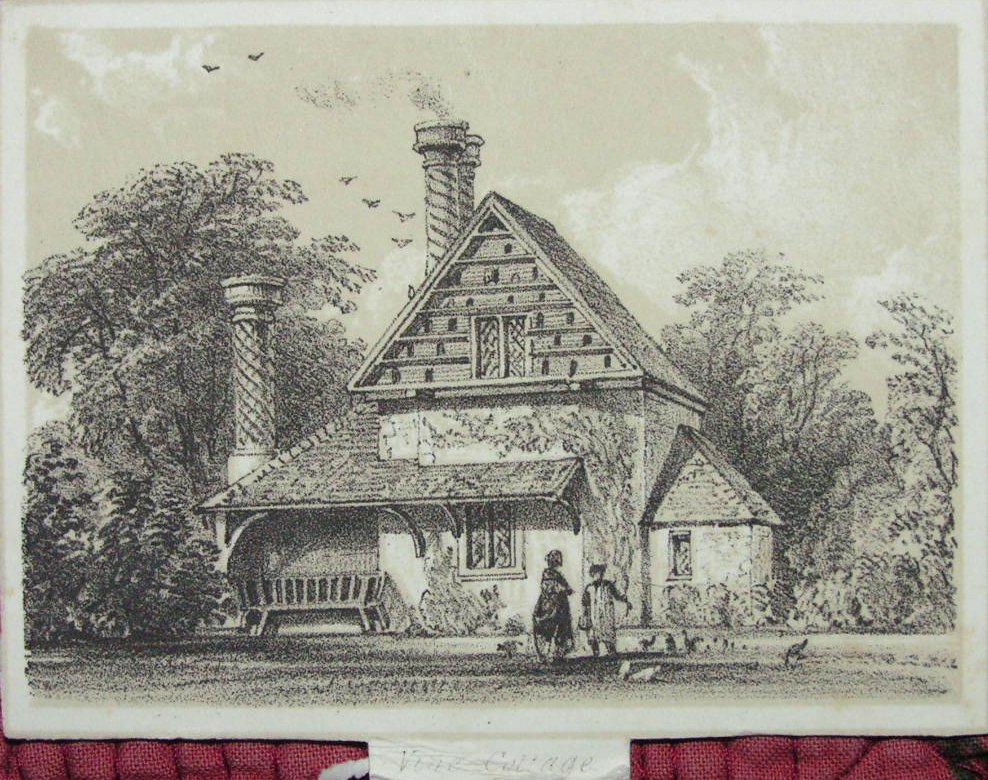 Lithograph - Vine Cottage