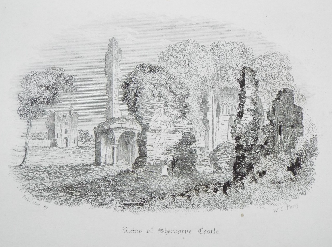 Steel Vignette - Ruins of Sherborne Castle.