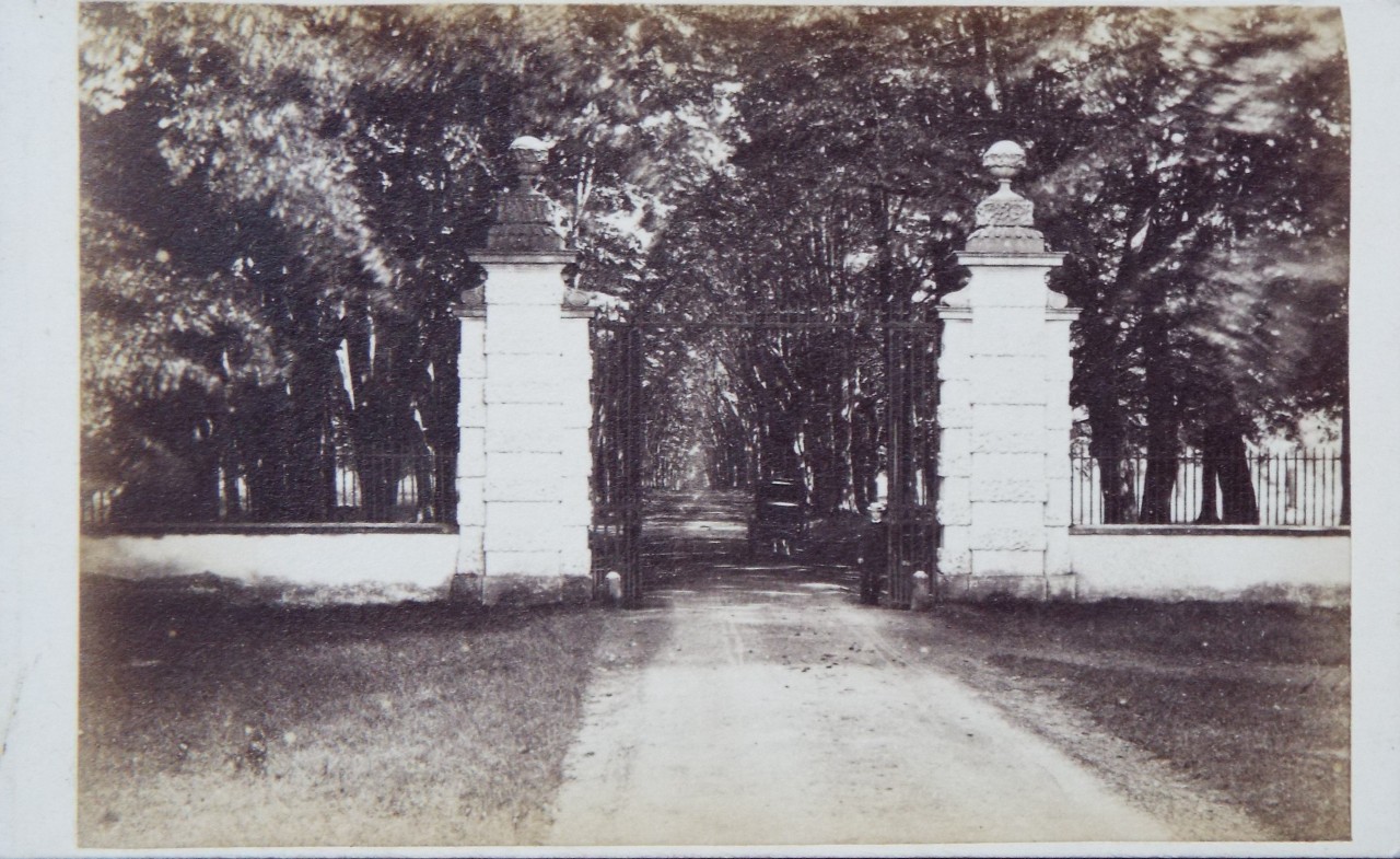 Photograph - Grand Avenue Gates, Savernake Forest