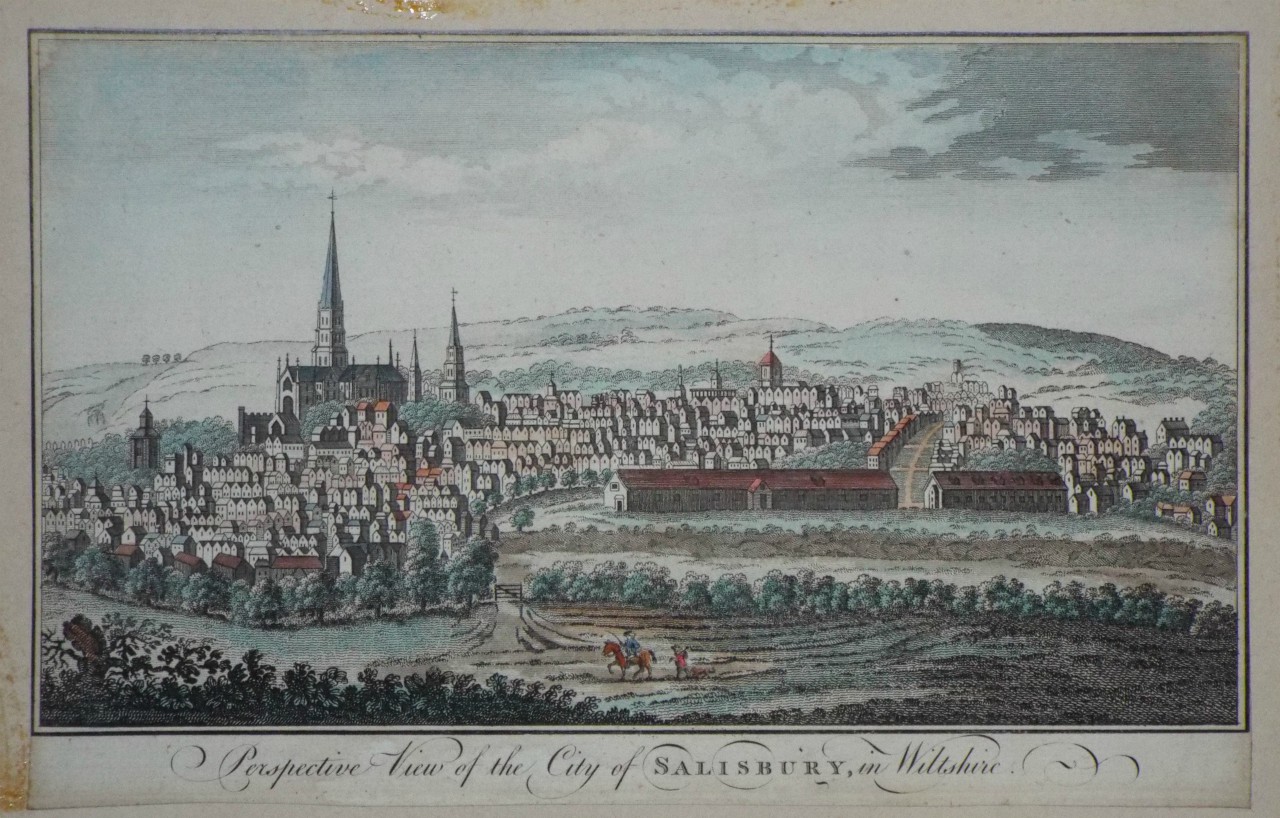 Print - Perspective View of the City of Salisbury, in Wiltshire.