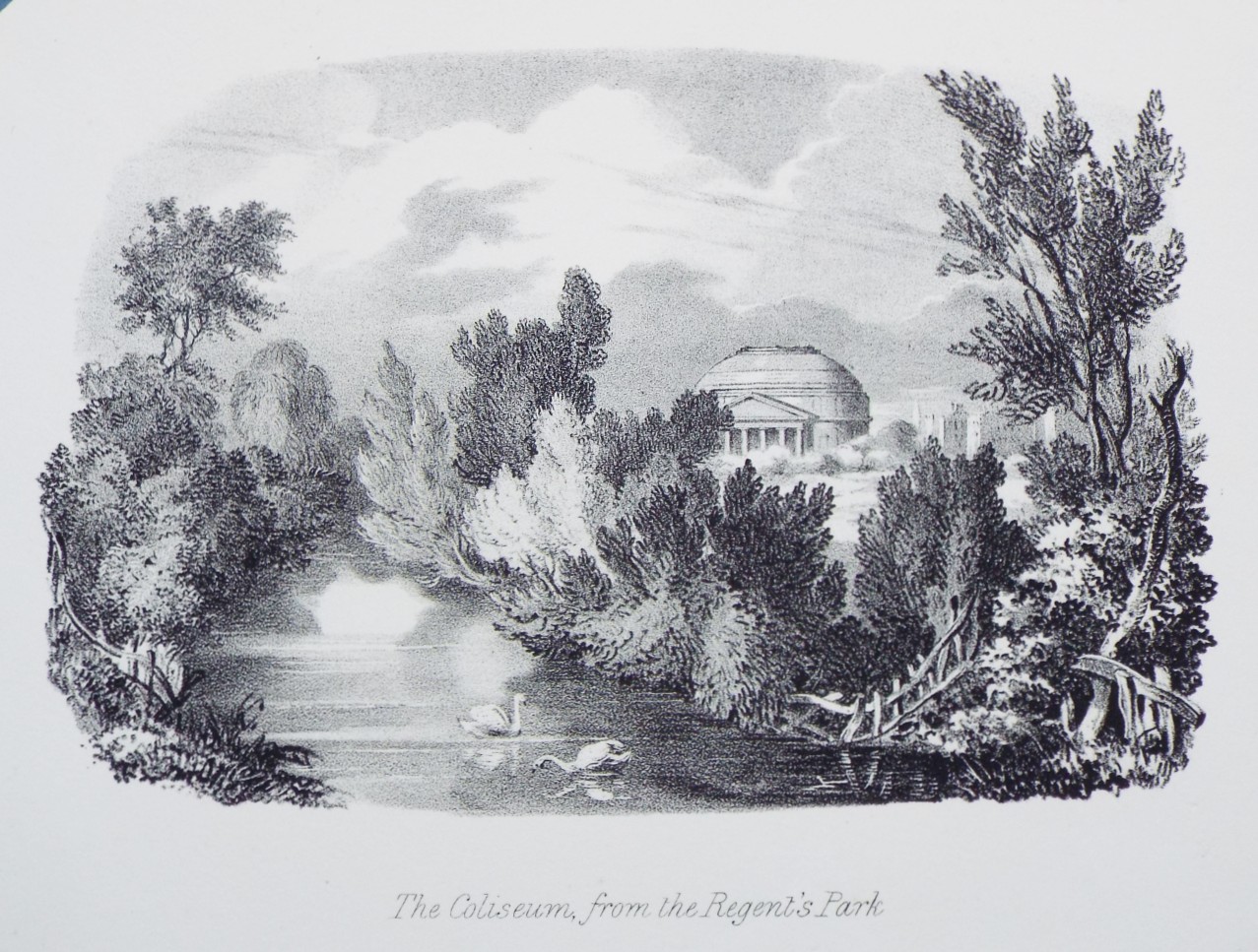 Lithograph - The Colisseum, from the Regent's Park.