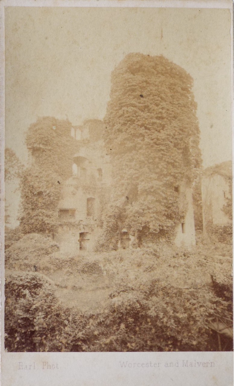 Photograph - Raglan Castle
