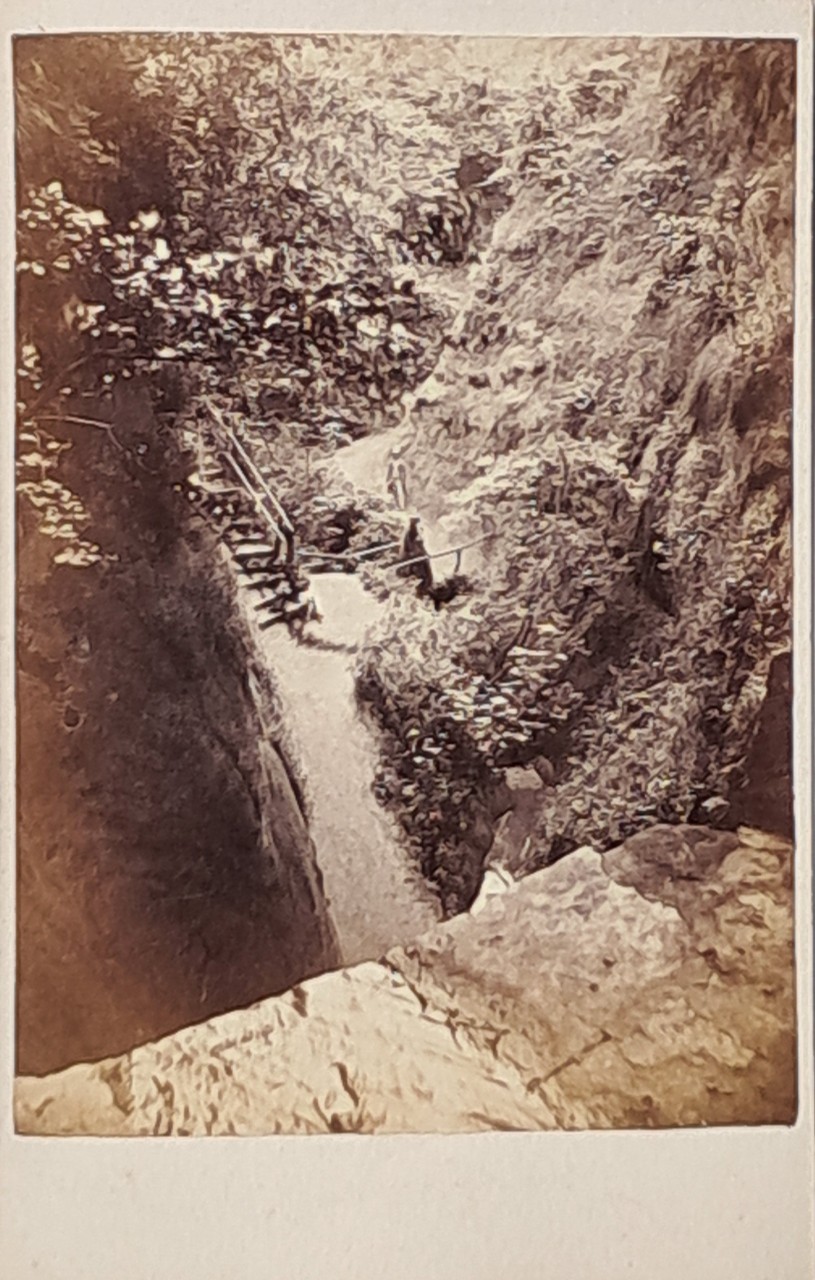 Photograph - Shanklin Chine