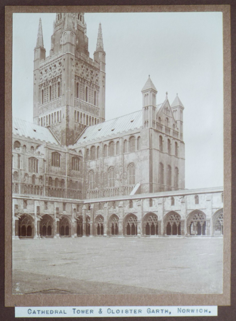 Photograph - Cathedral Tower & Cloister Garth, Norwich.