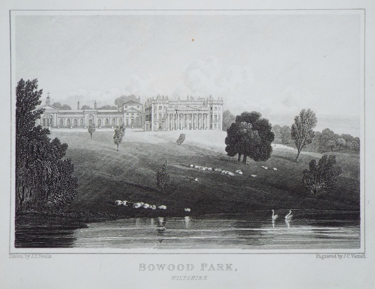 Print - Bowood Park, Wiltshire. - Varrall