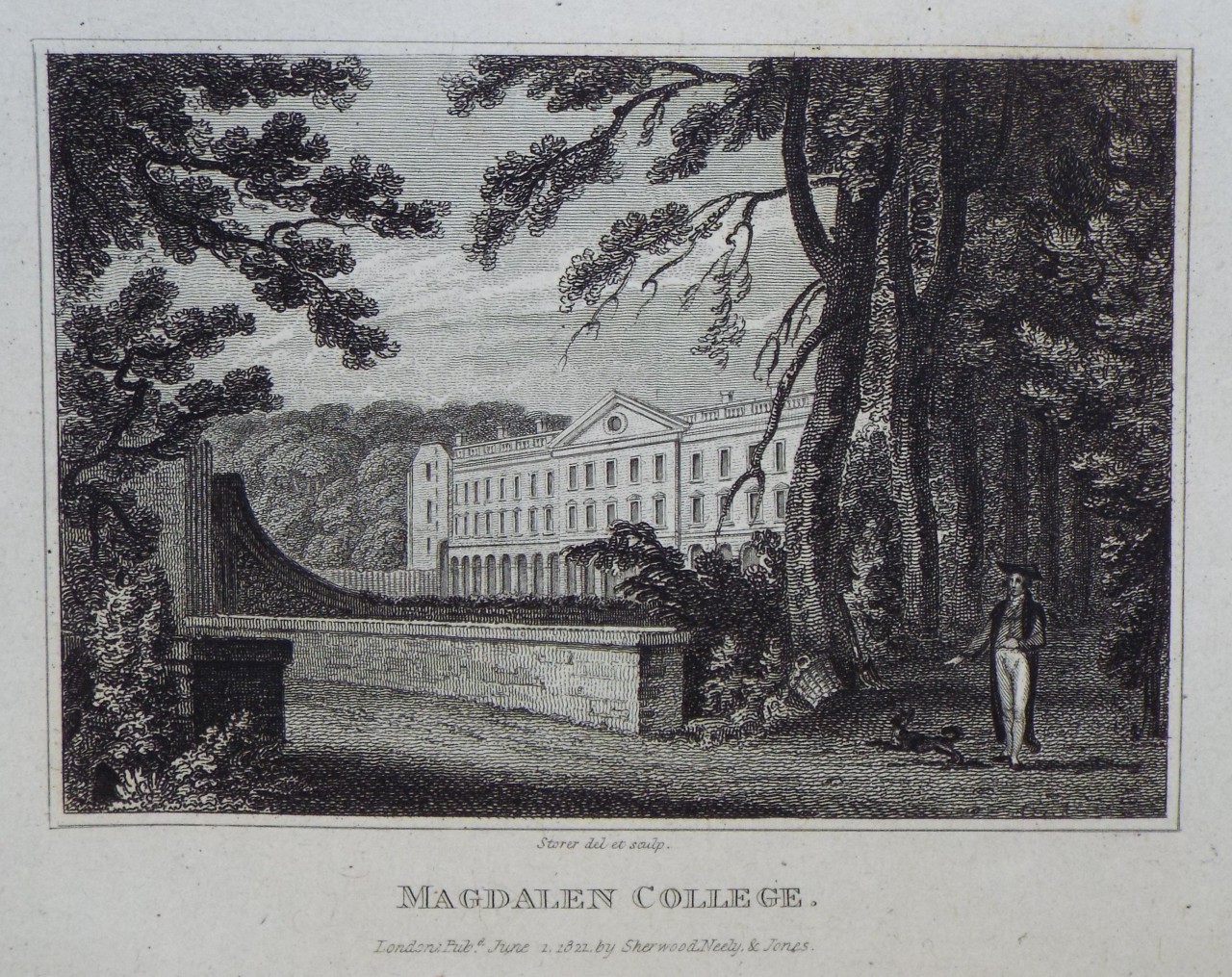 Print - Magdalen College. - Storer