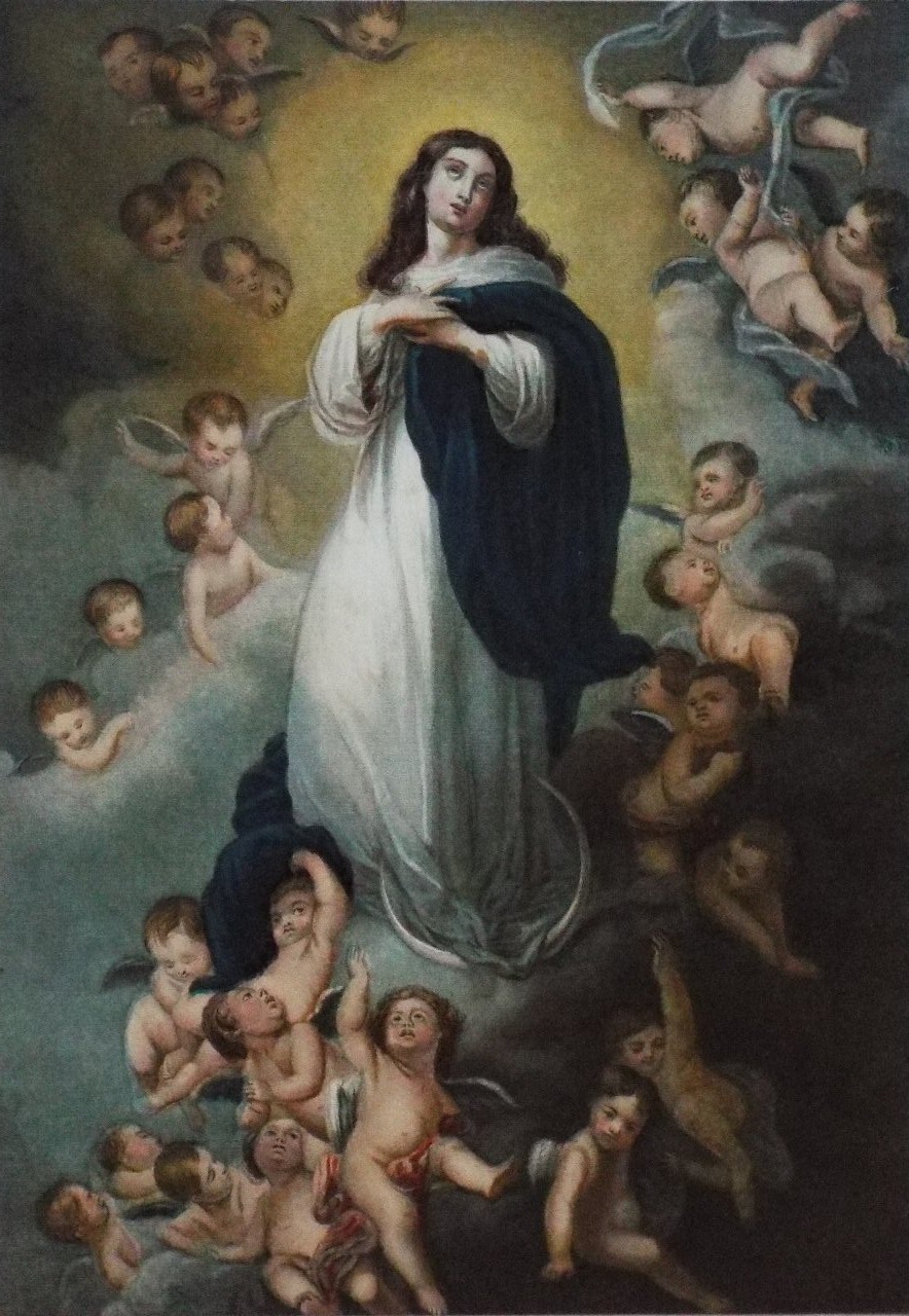 Baxter - Our Blessed Virgin Mary