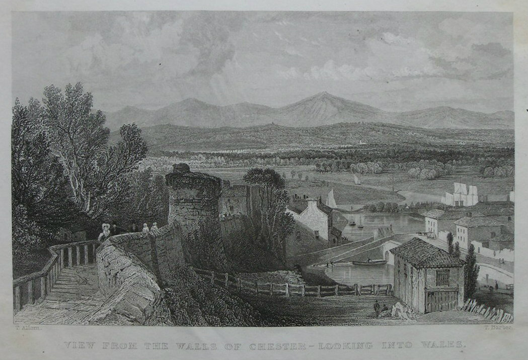 Print - View from the Walls of Chester - Looking into Walks, - Barber
