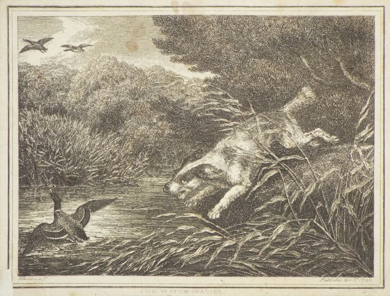 Etching - The Water-Spaniel - Howitt