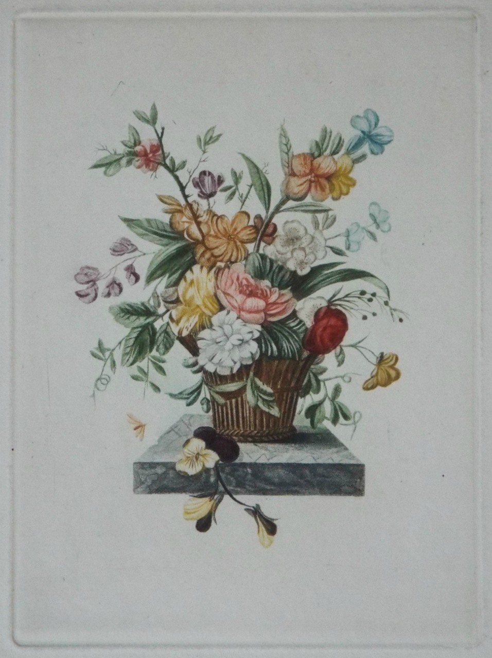 Print - Still Life - Vase of Flowers