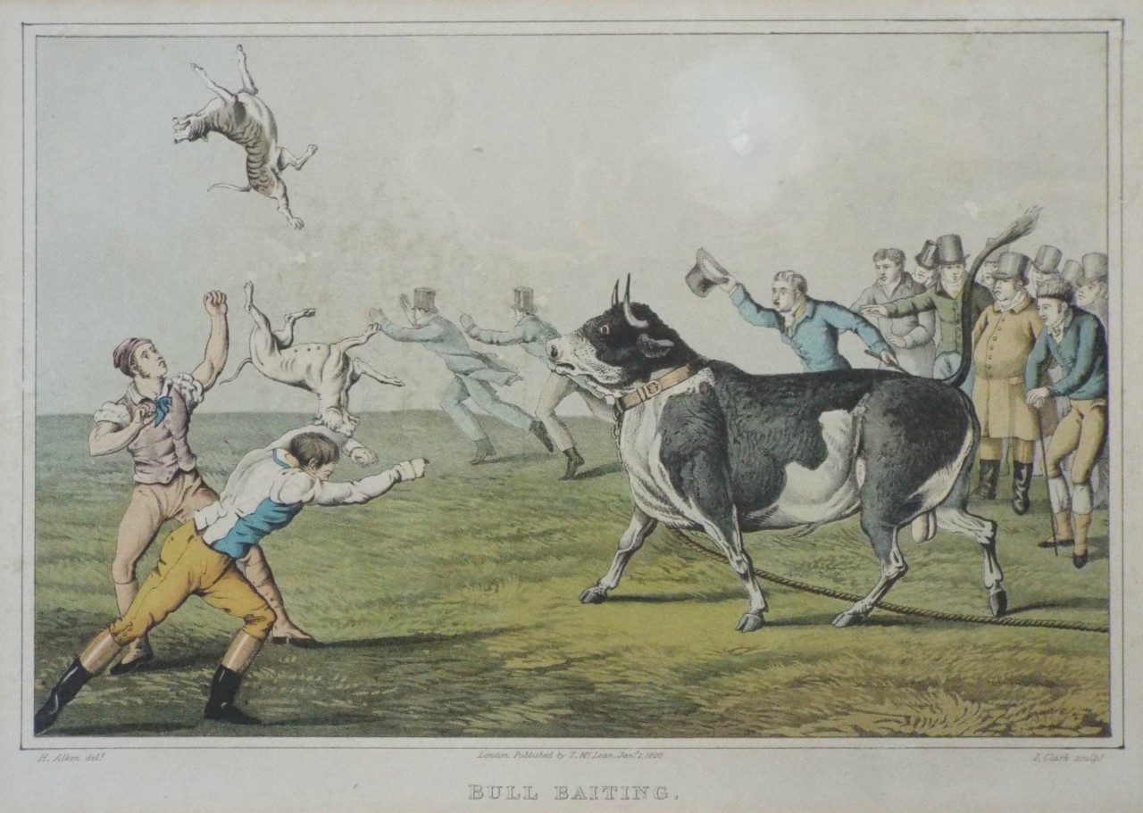 Aquatint - Bull Baiting. - Clark