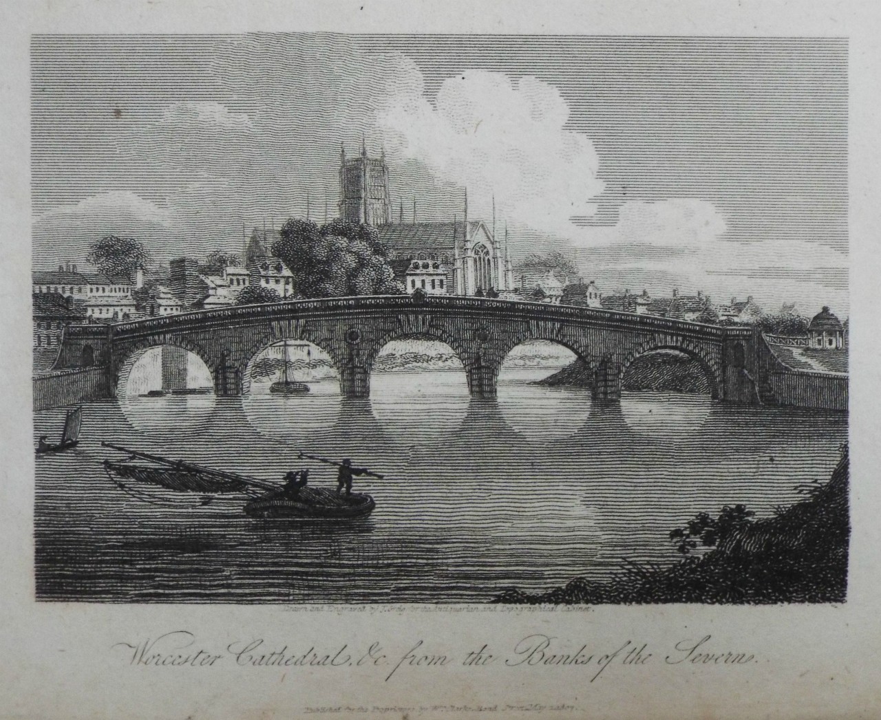 Print - Worcester Cathedral, &.c from the Banks of the Severn. - Greig