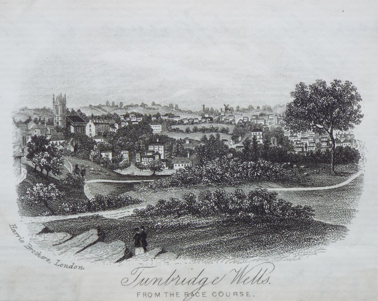 Steel Vignette - Tunbridge Wells, from the Race Course. - Harris