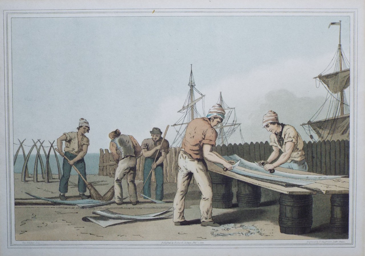 Aquatint - Whalebone Scrapers - Kaufmann