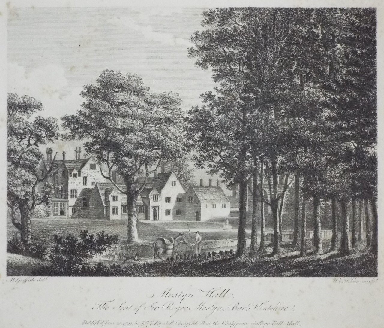 Print - Mostyn Hall, The Seat of Sir Roger Mostyn, Bart. Flintshire. - Wilson