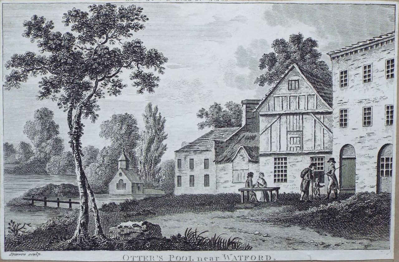 Print - Otter's Pool near Watford, - 
