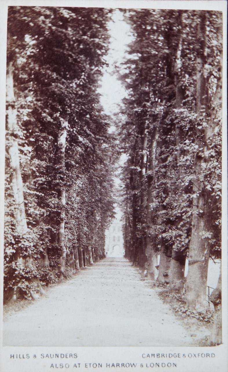 Photograph - Trinity College Avenue