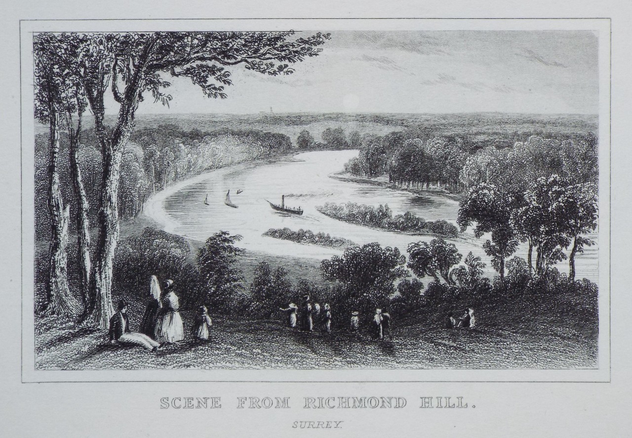Print - Scene from Richmond Hill. Surrey.